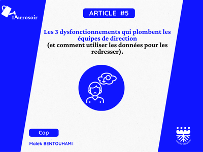 Dysfonctionnement Équipe Direction : Le Diagnostic (Requins, Moutons, Zombies)