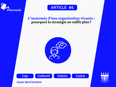 L&rsquo;anatomie d&rsquo;une organisation vivante : pourquoi la stratégie ne suffit plus (les 16 composantes cachées)